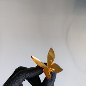 Топер Метелик більший