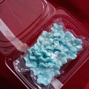 Набір Гортензія моно Блакитна