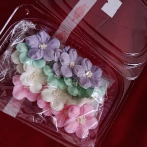 Набір Гортензія Преміум Мікс ТМ Кондекор